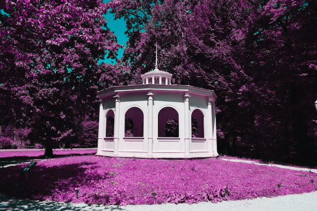 Pridružite se tarot čitanjima uživo u Maksimiru