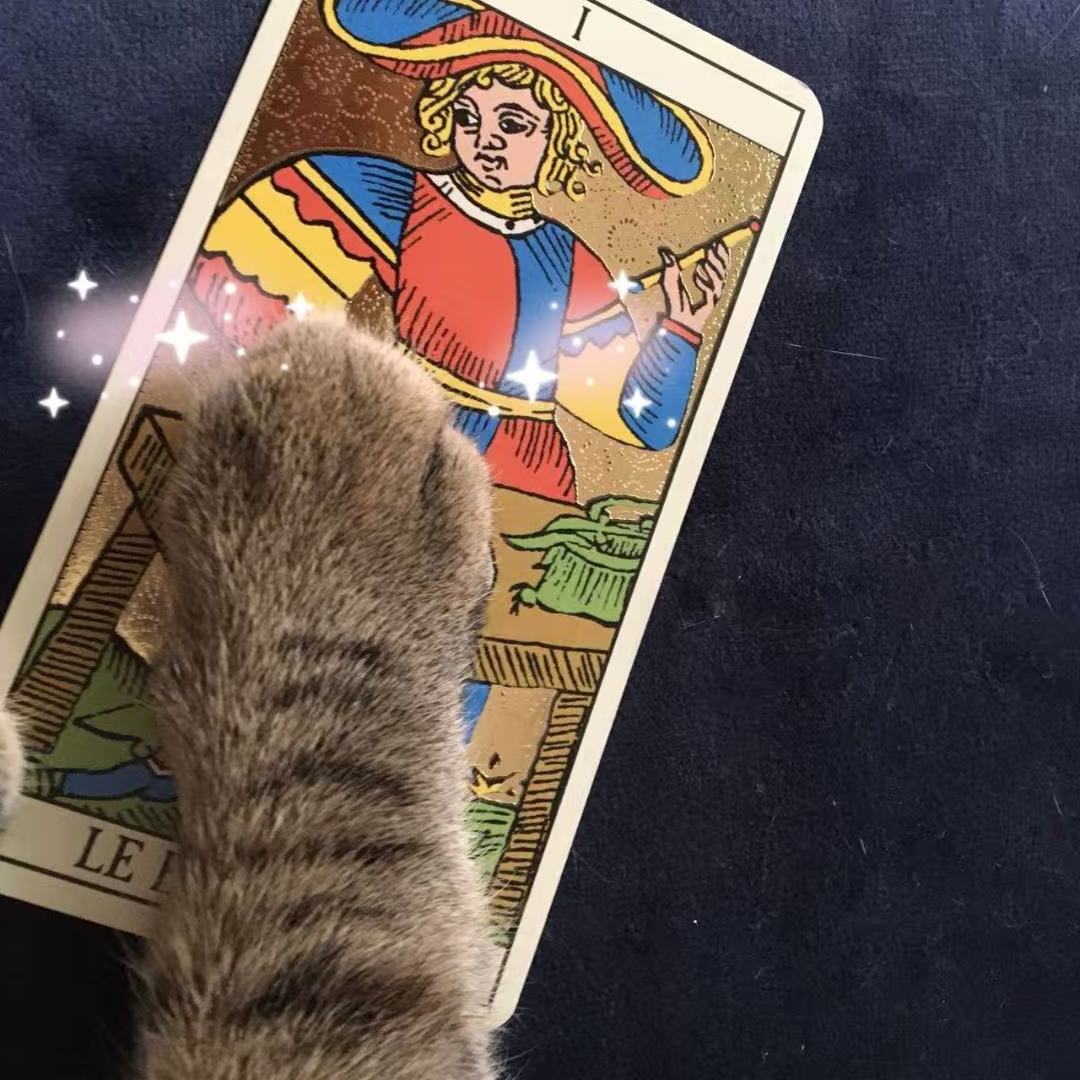 The Magician tarot card and a paw of a cat representing potential begging for action, spirit becoming flesh in the material world.