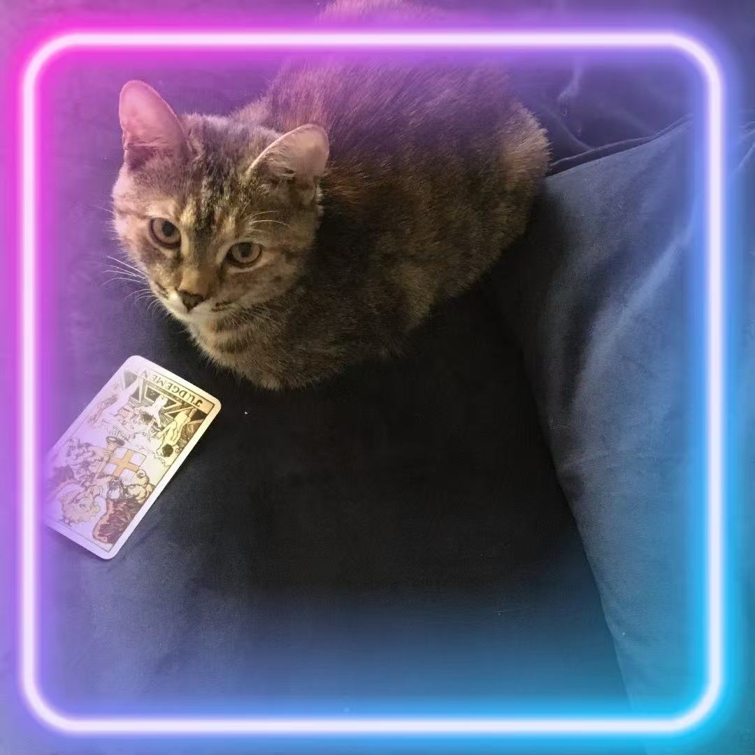 Here’s how to prep your energy, set your vibe, and make your next tarot reading actually matter.